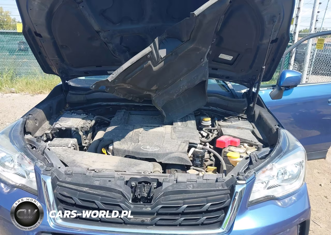 2017 Subaru Forester 2.0Xt Premium VIN:JF2SJGEC1HH479478 - 10