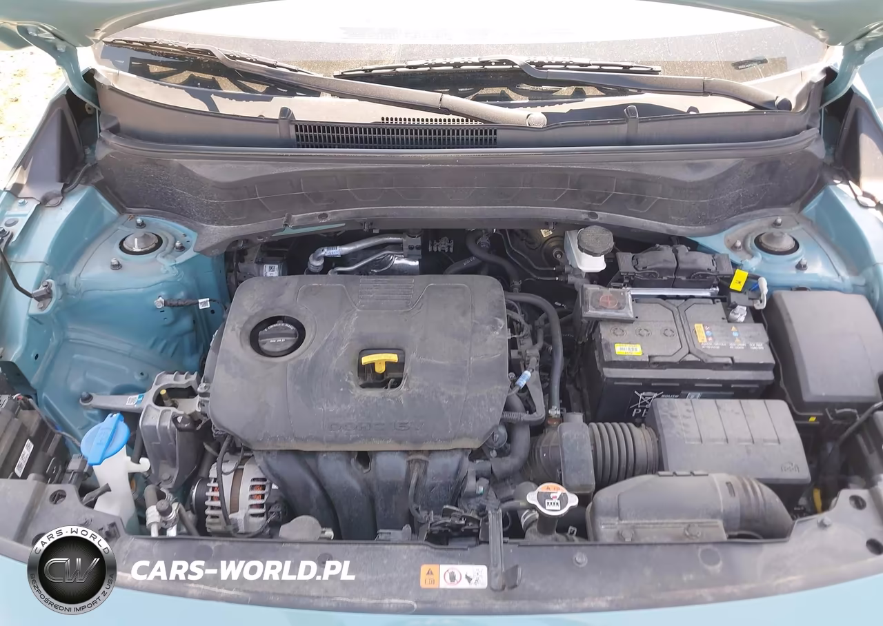2024 Kia Seltos S VIN:KNDEUCAA5R7547952 - 10
