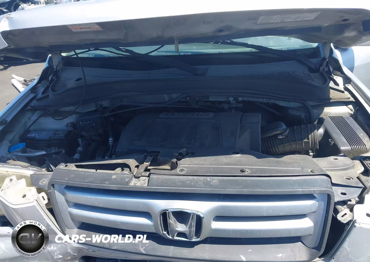 2007 Honda Pilot Ex-L VIN:5FNYF28707B035924 - 10