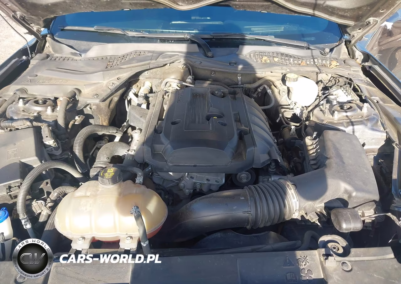 2020 Ford Mustang Ecoboost Fastback VIN:1FA6P8TH0L5100411 - 10