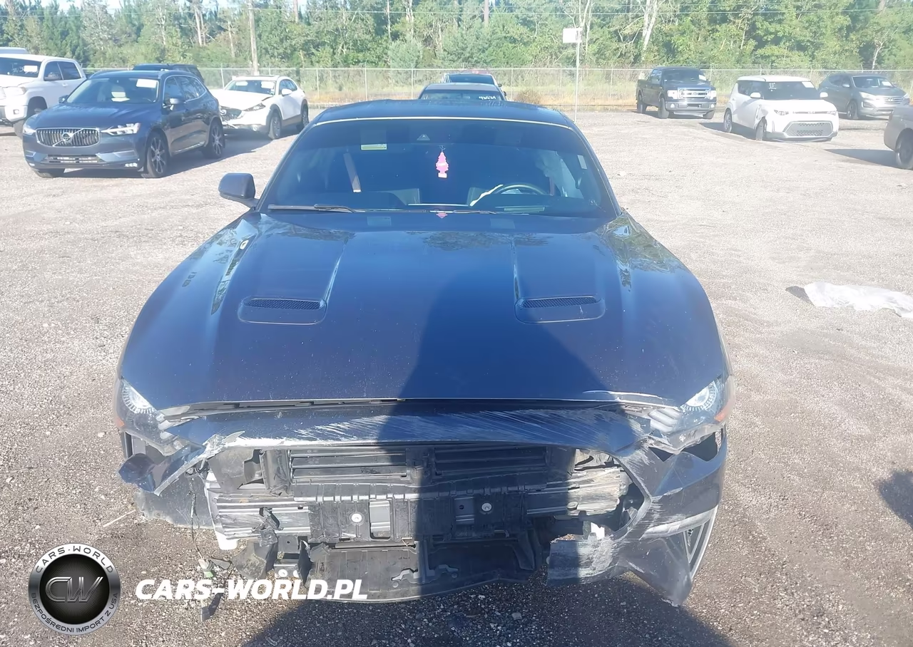 2020 Ford Mustang Ecoboost Fastback VIN:1FA6P8TH0L5100411 - 12