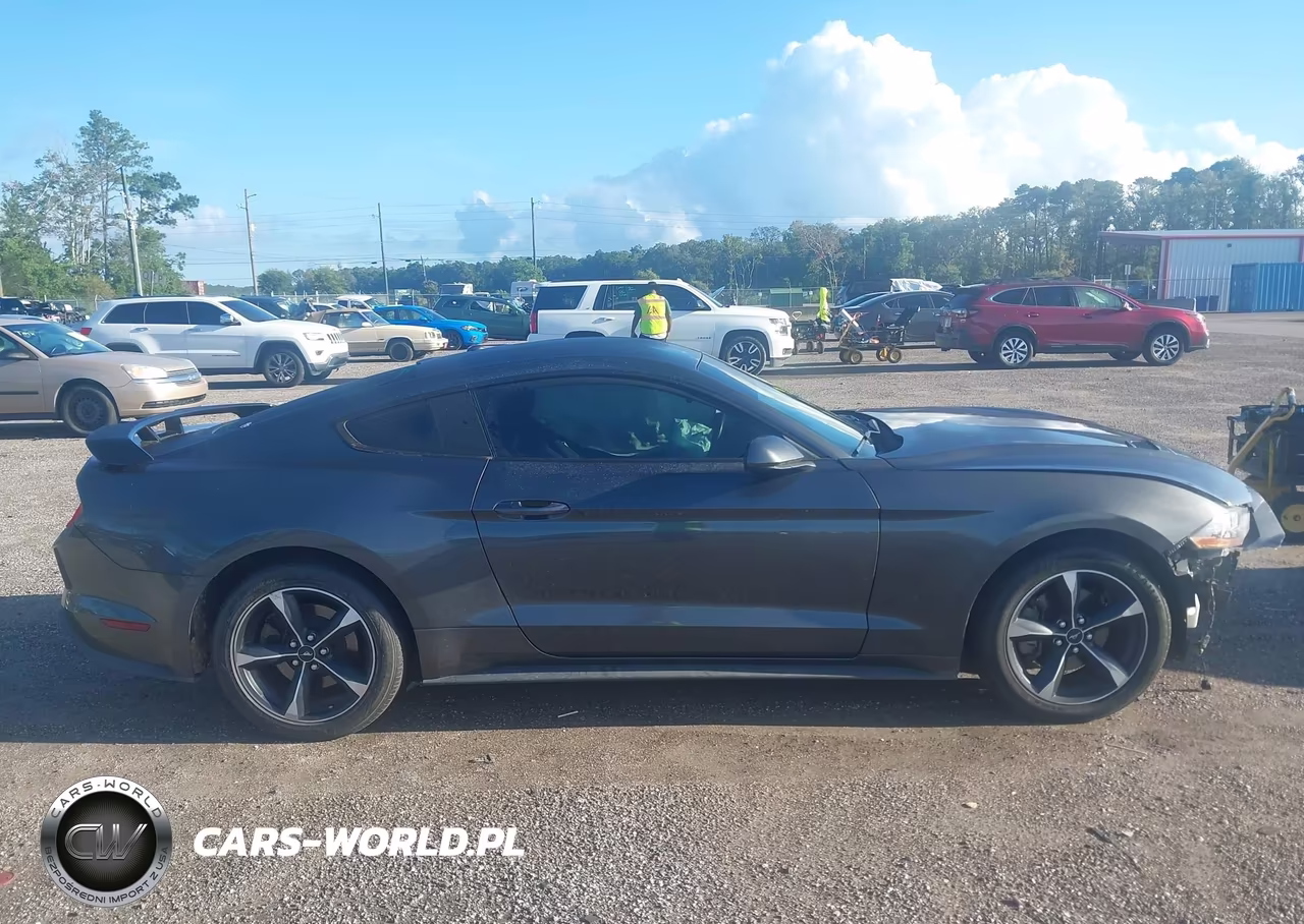 2020 Ford Mustang Ecoboost Fastback VIN:1FA6P8TH0L5100411 - 13