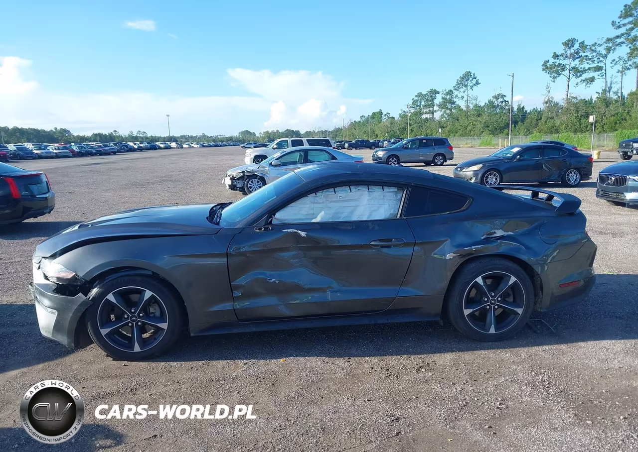 2020 Ford Mustang Ecoboost Fastback VIN:1FA6P8TH0L5100411 - 14