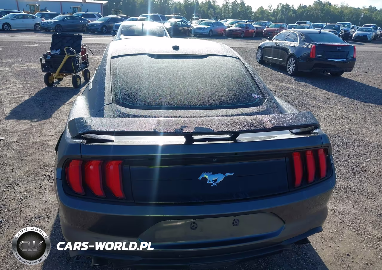 2020 Ford Mustang Ecoboost Fastback VIN:1FA6P8TH0L5100411 - 16