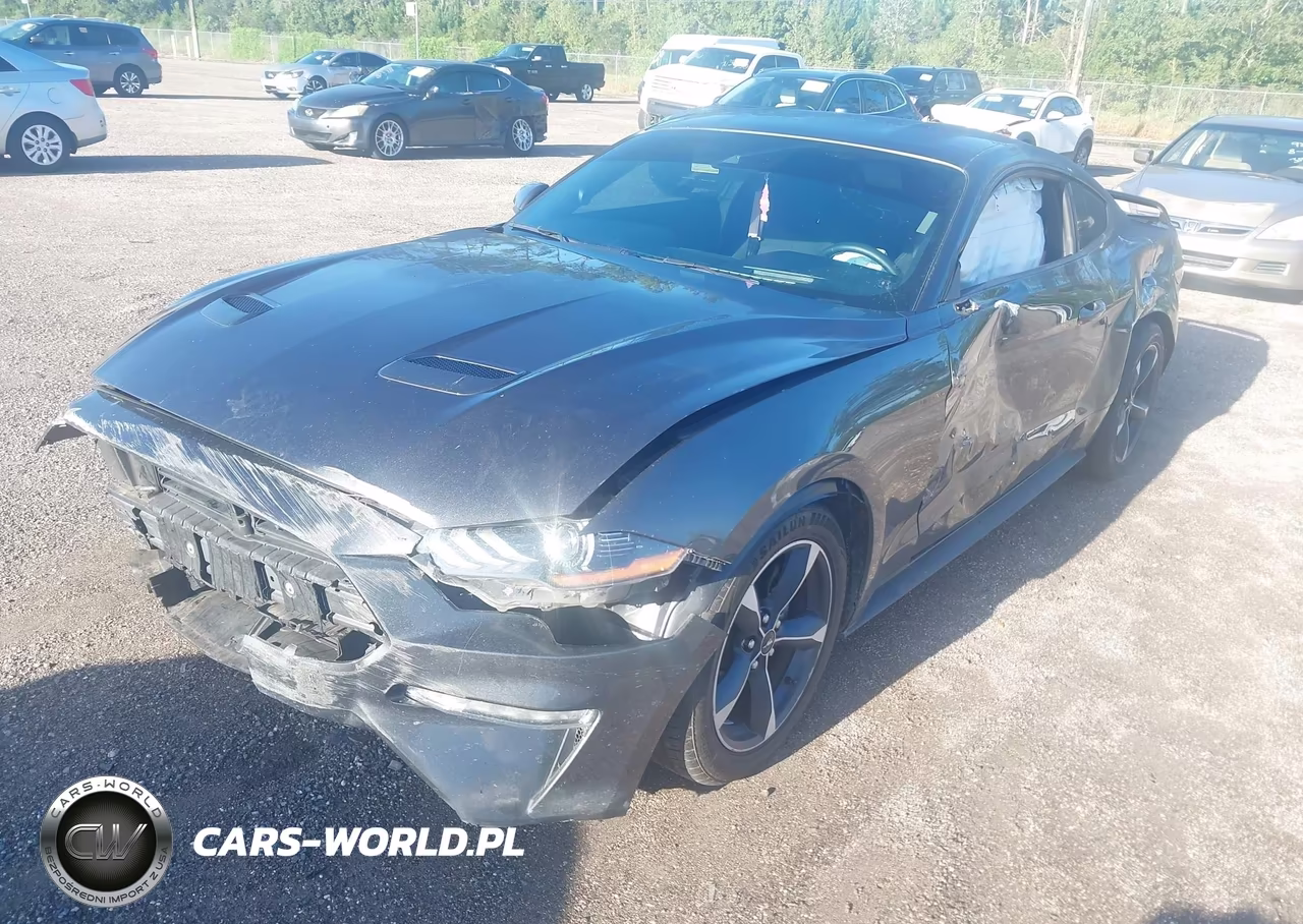 2020 Ford Mustang Ecoboost Fastback VIN:1FA6P8TH0L5100411 - 2