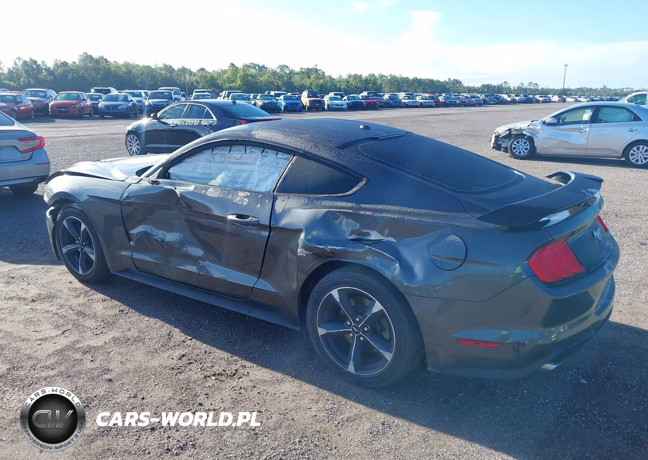 2020 Ford Mustang Ecoboost Fastback VIN:1FA6P8TH0L5100411 - 3