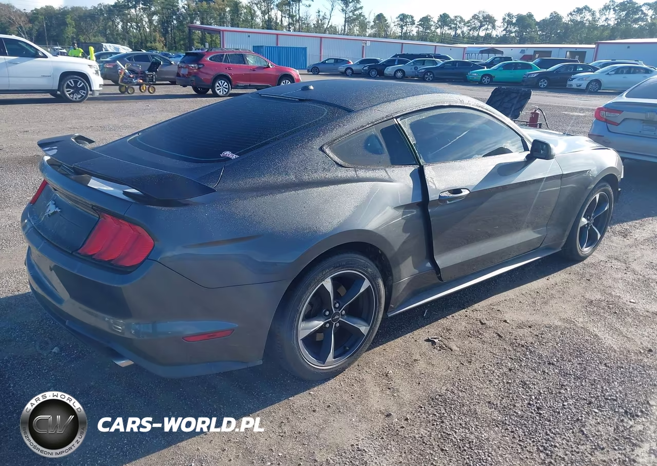 2020 Ford Mustang Ecoboost Fastback VIN:1FA6P8TH0L5100411 - 4