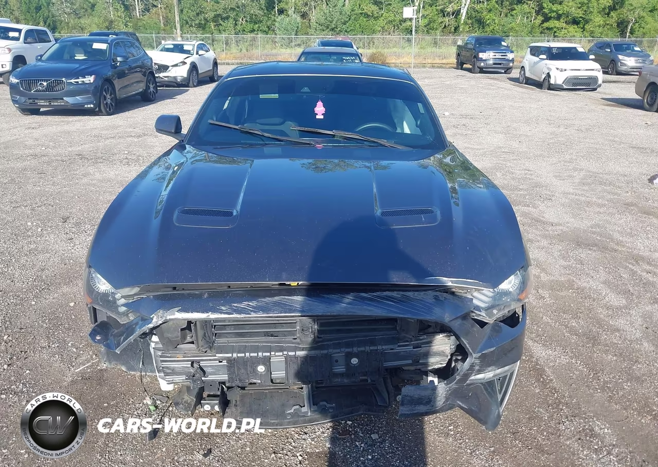 2020 Ford Mustang Ecoboost Fastback VIN:1FA6P8TH0L5100411 - 6