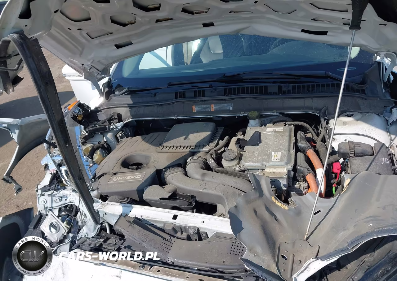 2019 Ford Fusion Hybrid Titanium VIN:3FA6P0RU5KR109560 - 10