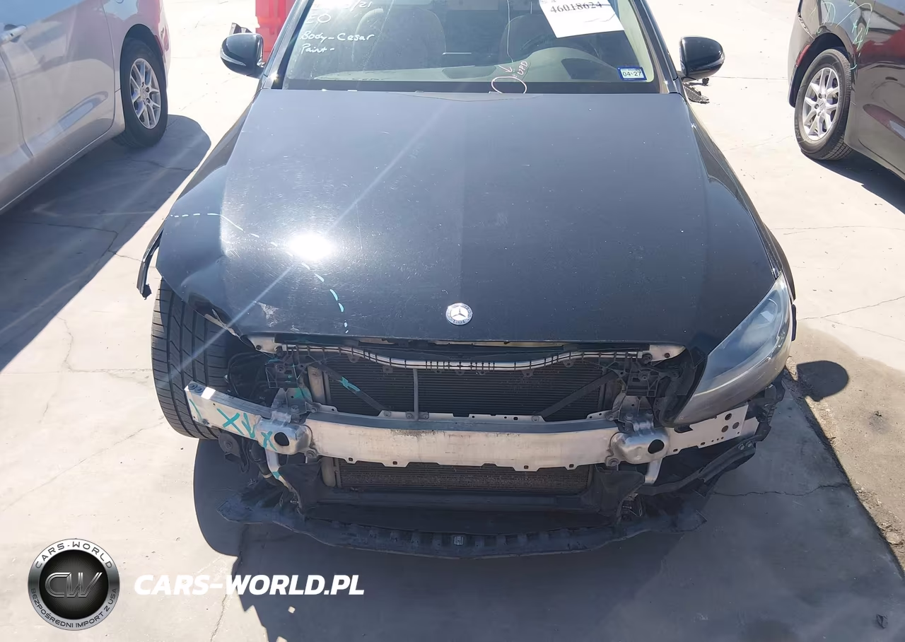 2017 Mercedes-Benz C 300 VIN:55SWF4JB9HU208325 - 13