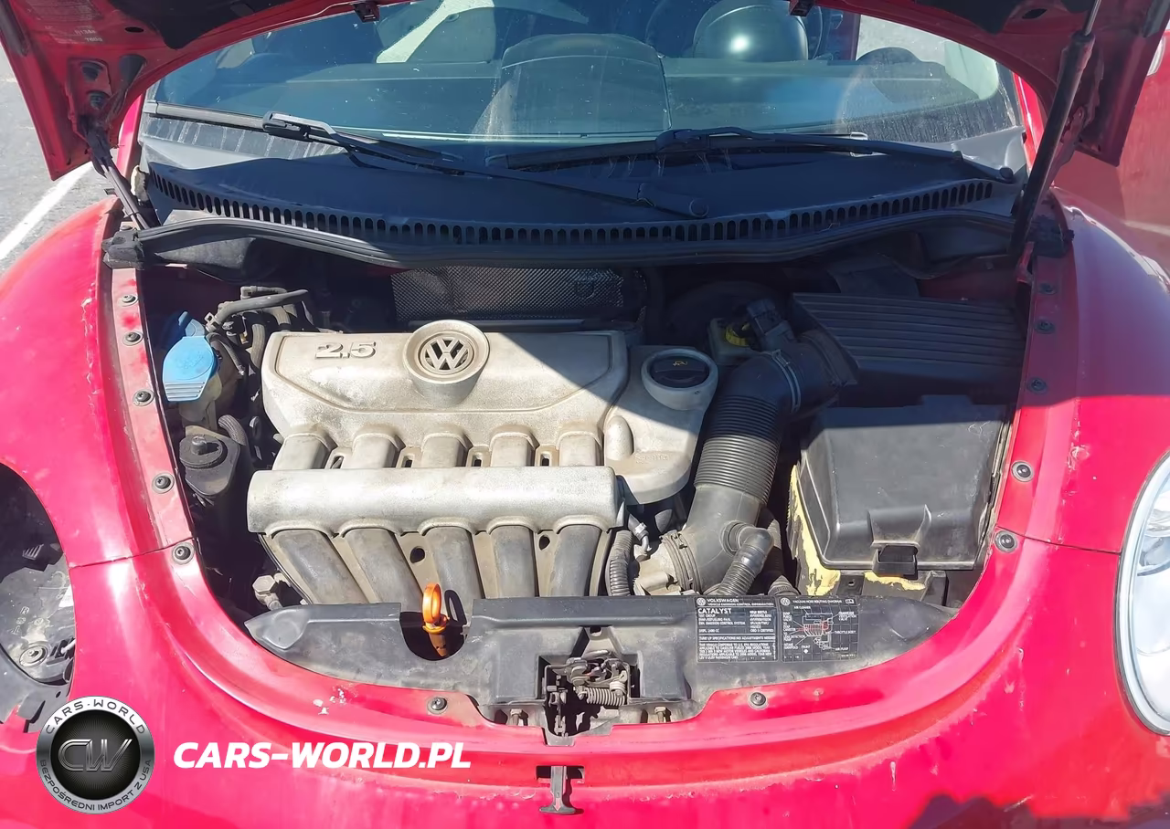 2006 Volkswagen New Beetle 2.5 VIN:3VWRF31Y96M305477 - 10