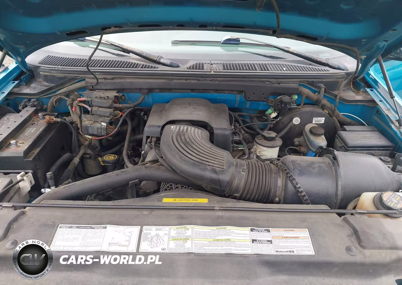 1997 Ford F-150 Lariat-Xl-Xlt VIN:2FTDX18W5VCA75465 - 10