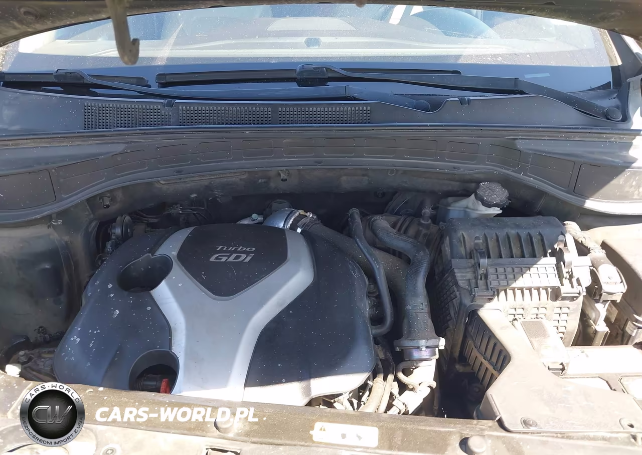 2014 Hyundai Santa Fe Sport 2.0L Turbo VIN:5XYZUDLA3EG191454 - 10