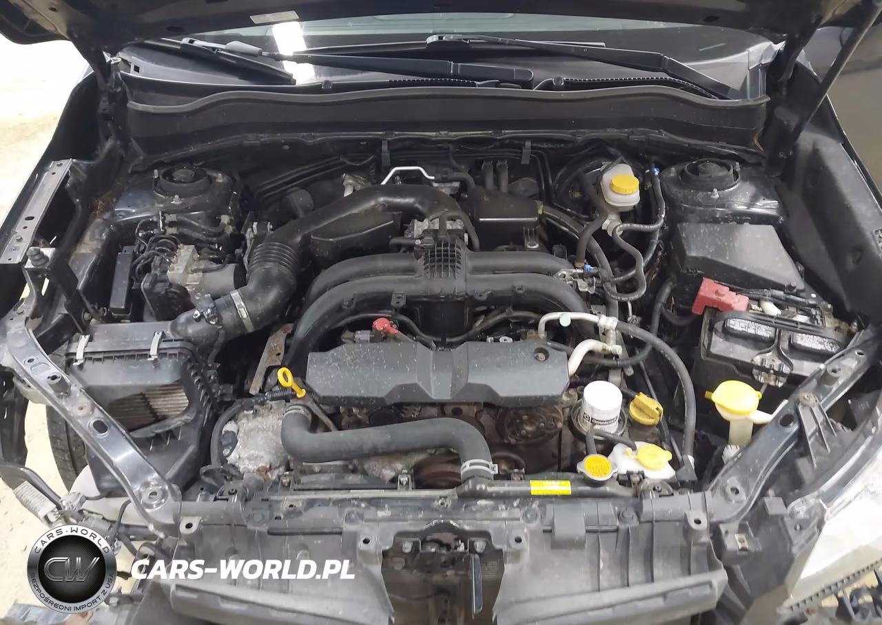 2017 Subaru Forester 2.5I Premium VIN:JF2SJAGC9HH517551 - 10