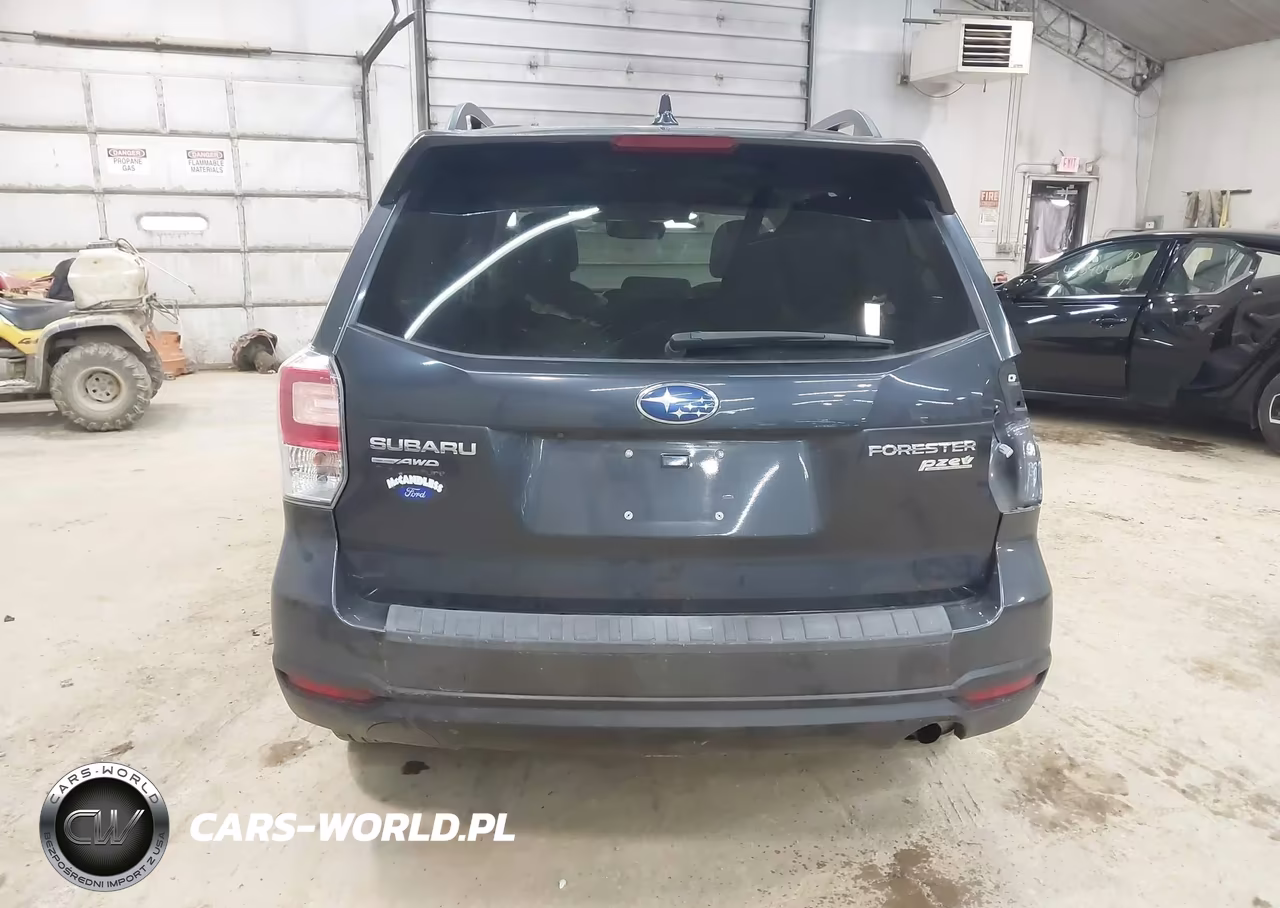 2017 Subaru Forester 2.5I Premium VIN:JF2SJAGC9HH517551 - 17