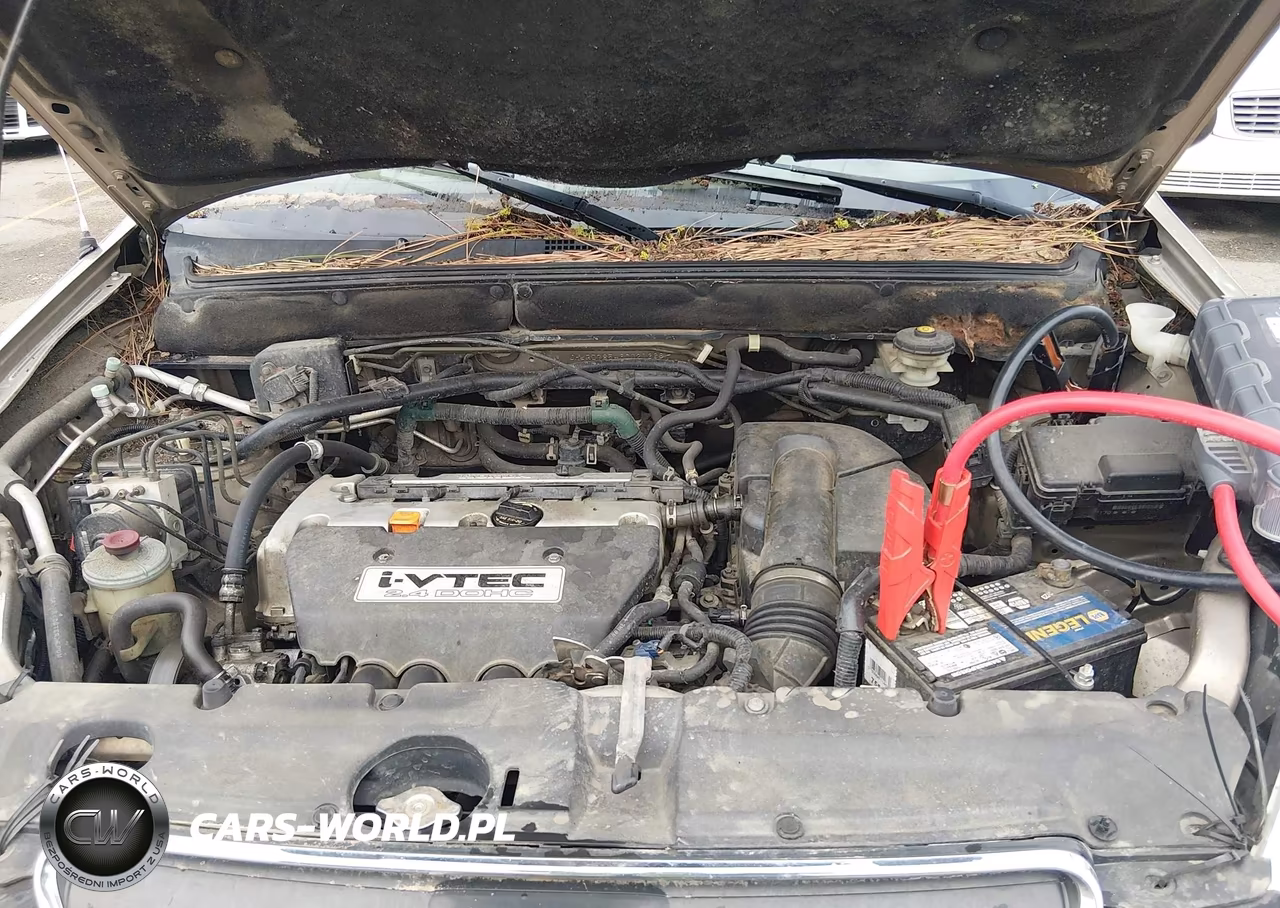 2006 Honda Cr-V Lx VIN:JHLRD78546C021366 - 10