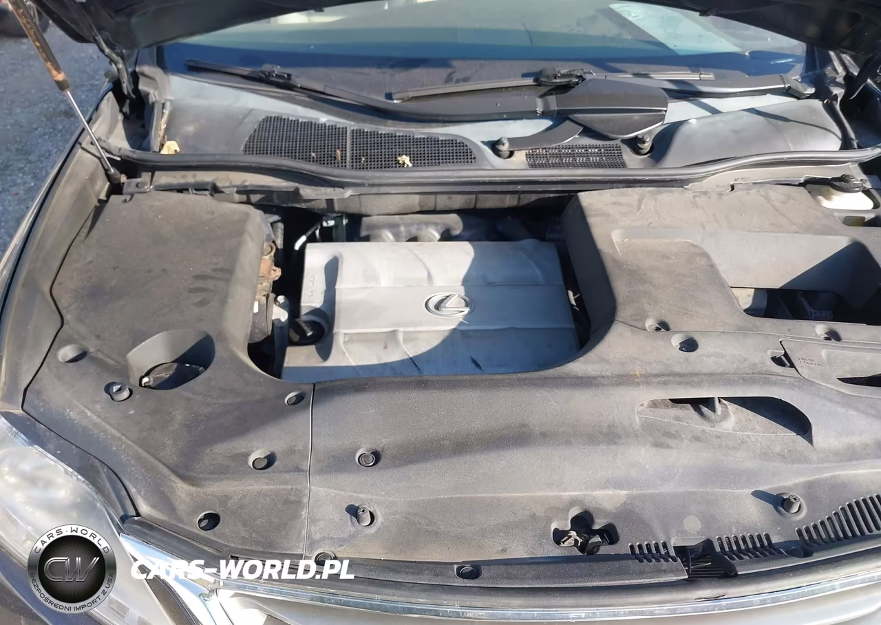 2015 Lexus Rx 350 VIN:2T2BK1BA0FC316992 - 10