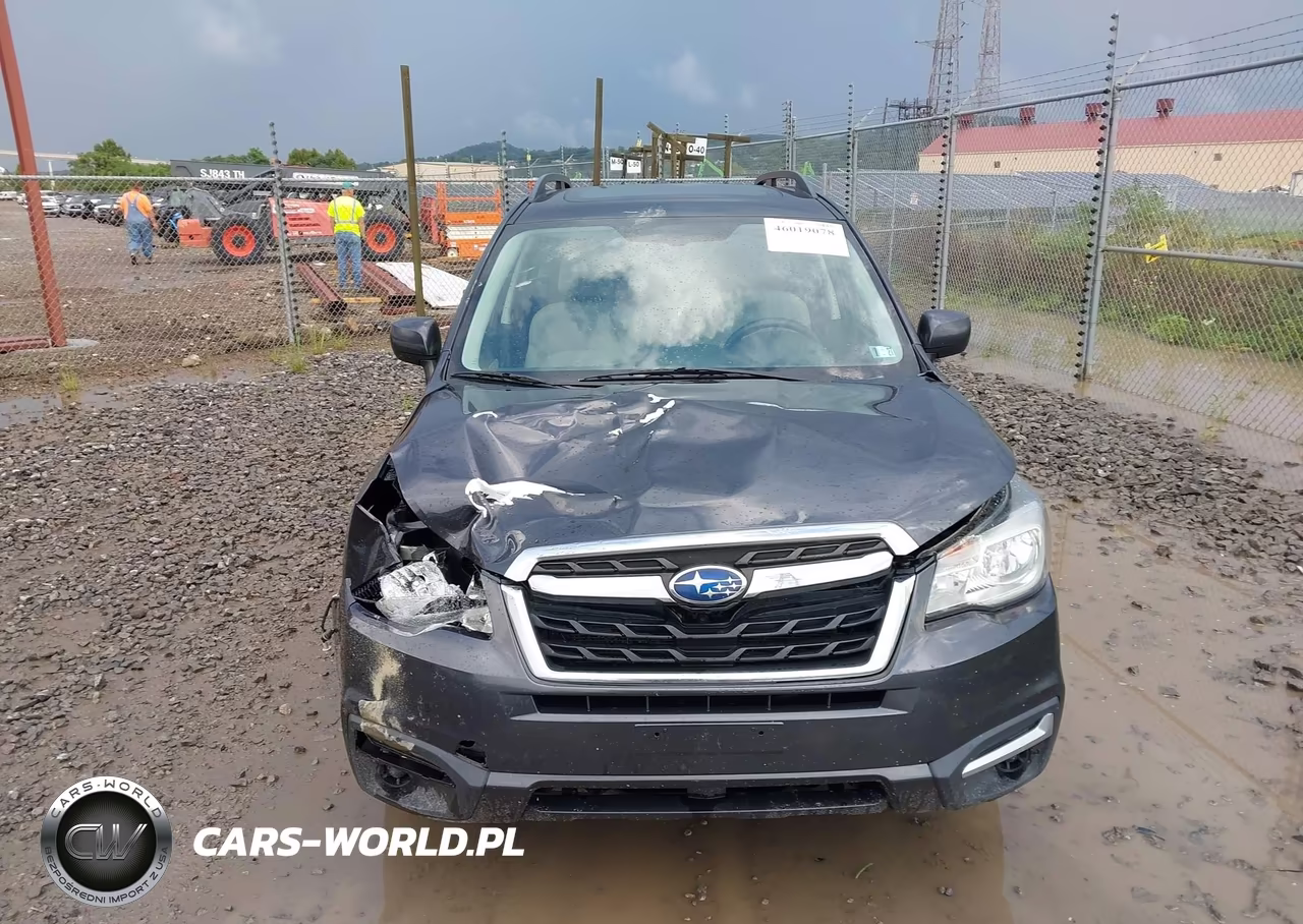 2017 Subaru Forester 2.5I Premium VIN:JF2SJADC3HH429843 - 13
