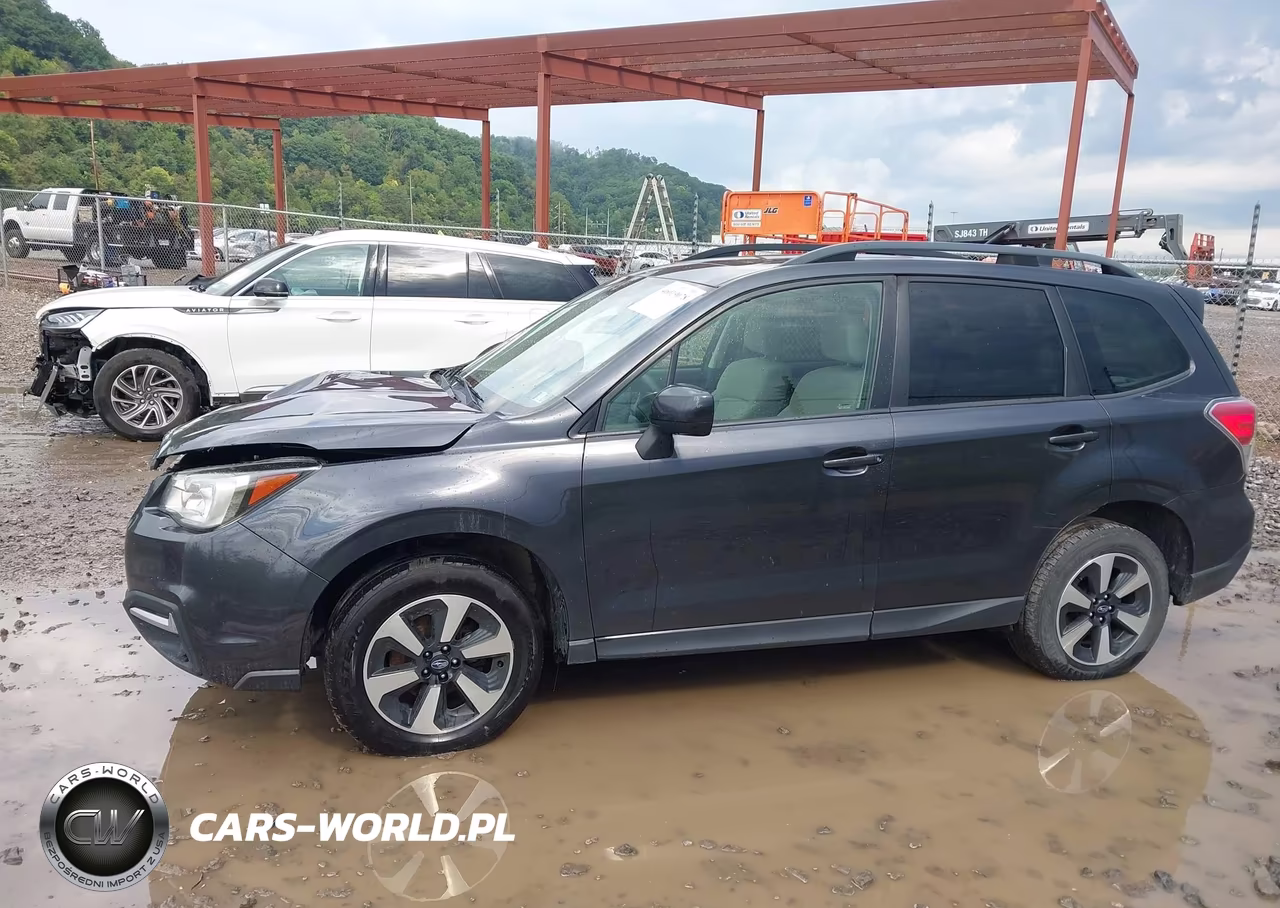 2017 Subaru Forester 2.5I Premium VIN:JF2SJADC3HH429843 - 15