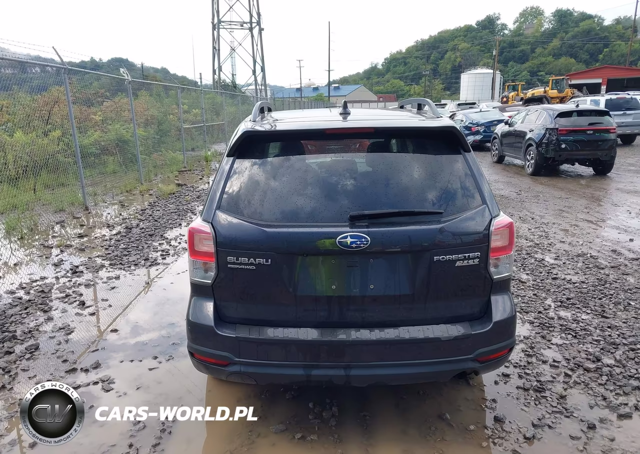 2017 Subaru Forester 2.5I Premium VIN:JF2SJADC3HH429843 - 17