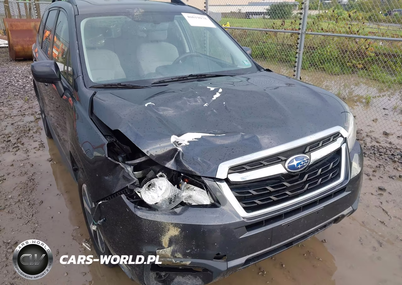 2017 Subaru Forester 2.5I Premium VIN:JF2SJADC3HH429843 - 6