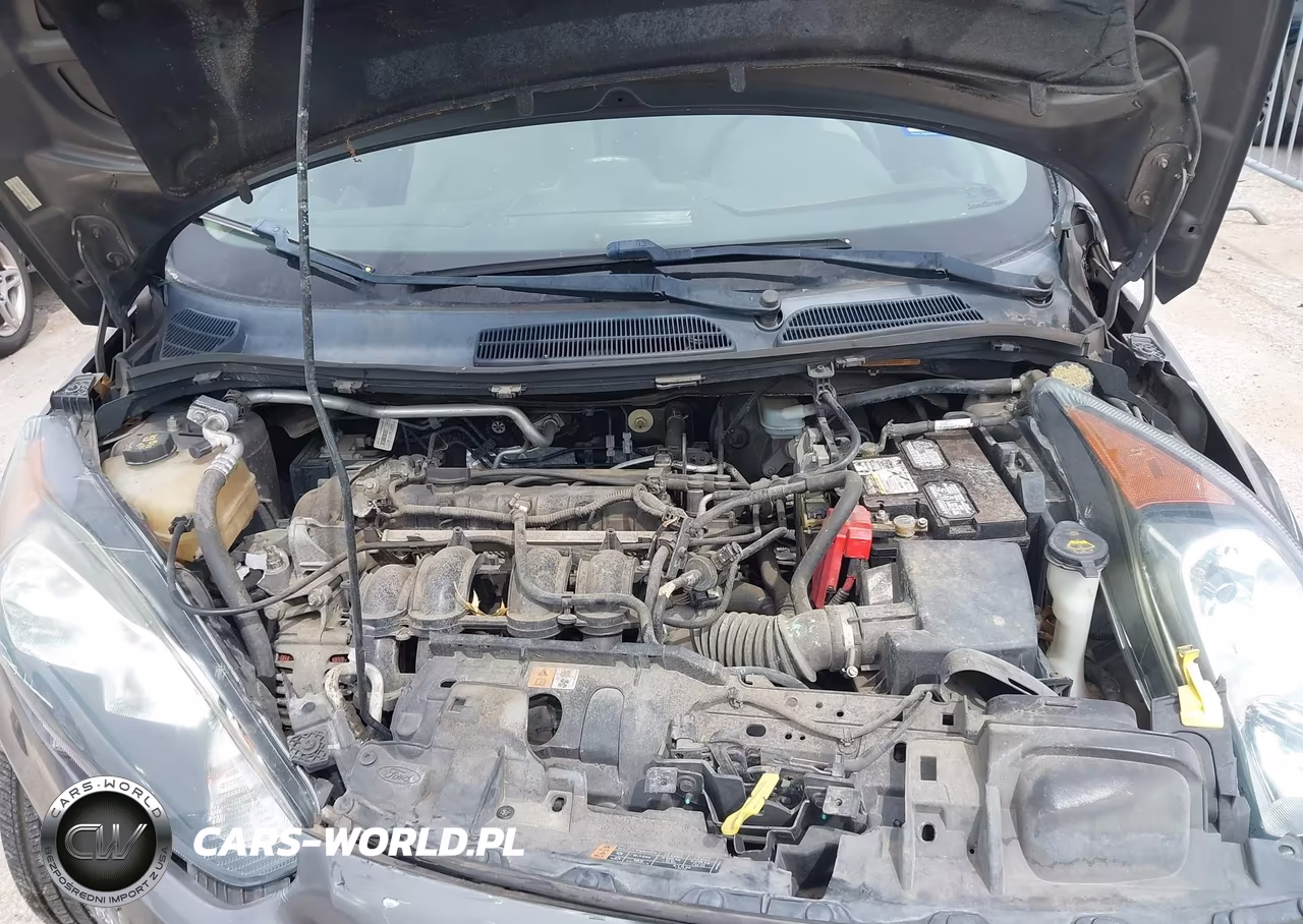 2014 Ford Fiesta Se VIN:3FADP4EJ4EM128564 - 10