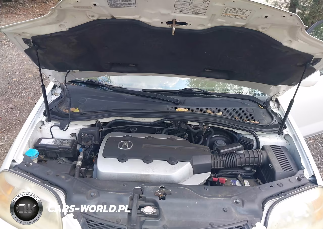 2004 Acura Mdx VIN:2HNYD18814H543506 - 10
