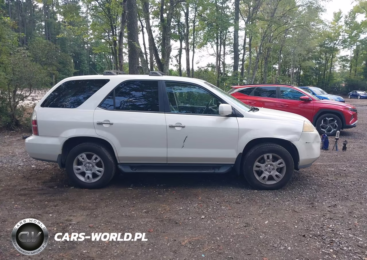 2004 Acura Mdx VIN:2HNYD18814H543506 - 13