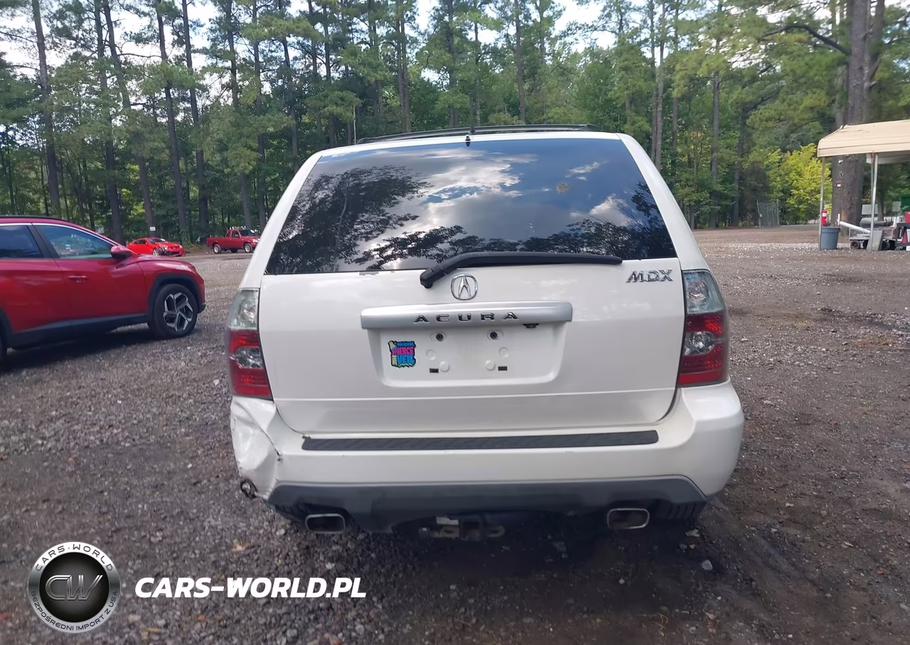 2004 Acura Mdx VIN:2HNYD18814H543506 - 16