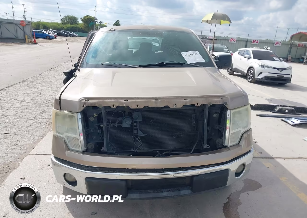 2012 Ford F-150 Xlt VIN:1FTEW1CM0CKD35874 - 12