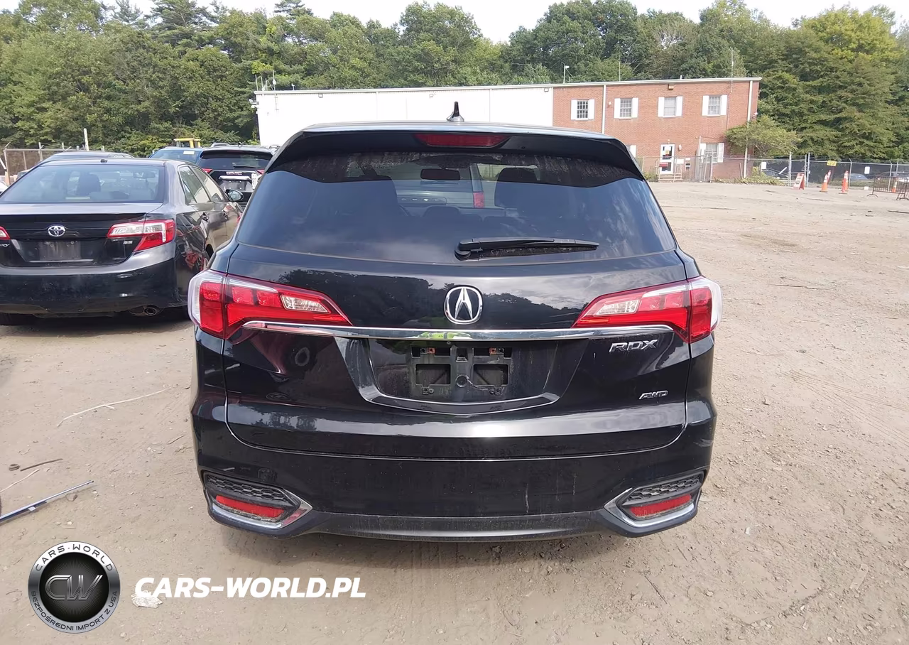 2017 Acura Rdx Acurawatch Plus Package VIN:5J8TB4H32HL021876 - 17