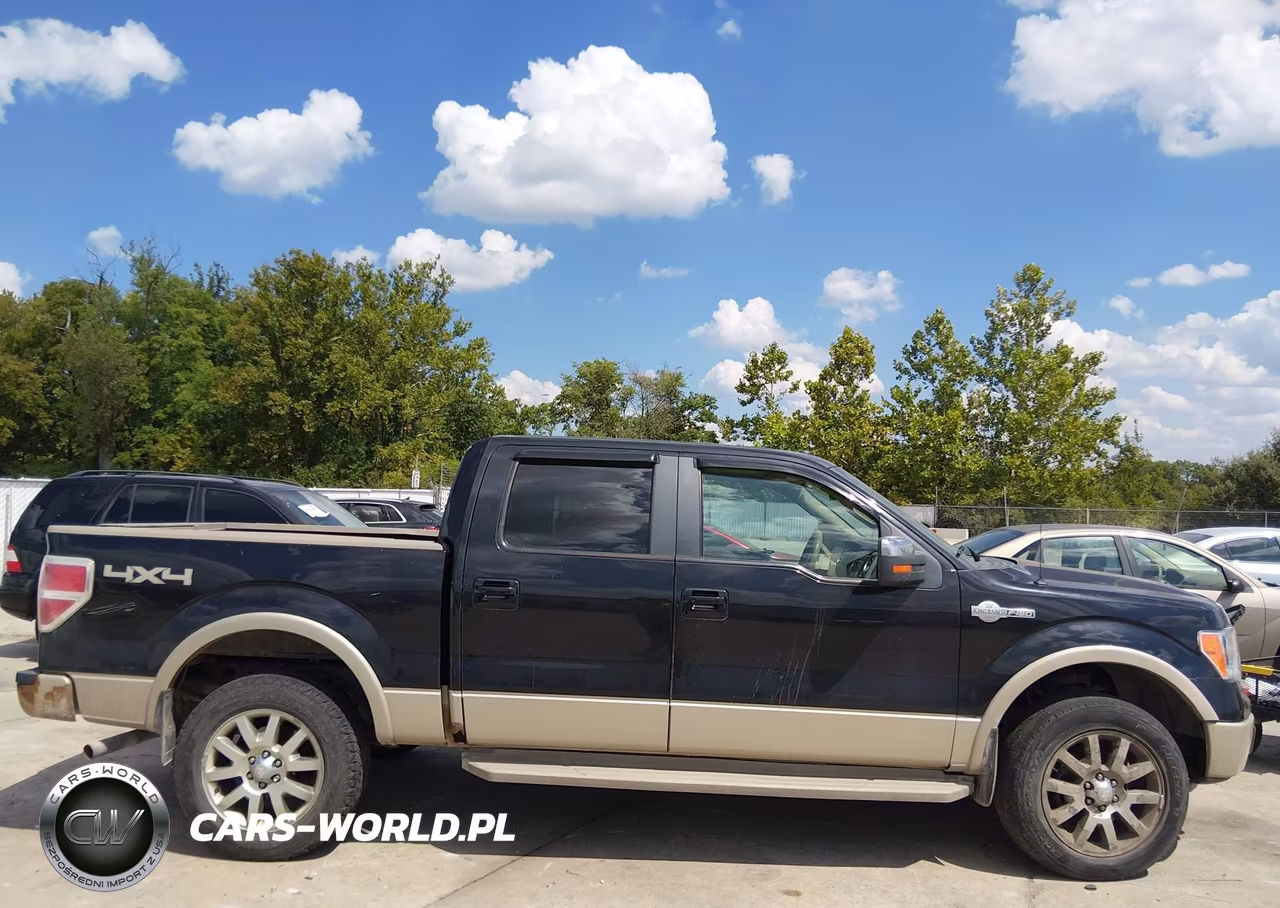 2010 Ford F-150 Fx4-Harley-Davidson-King Ranch-Lariat-Platinum-Xl-Xlt VIN:1FTFW1EVXAKC55537 - 10