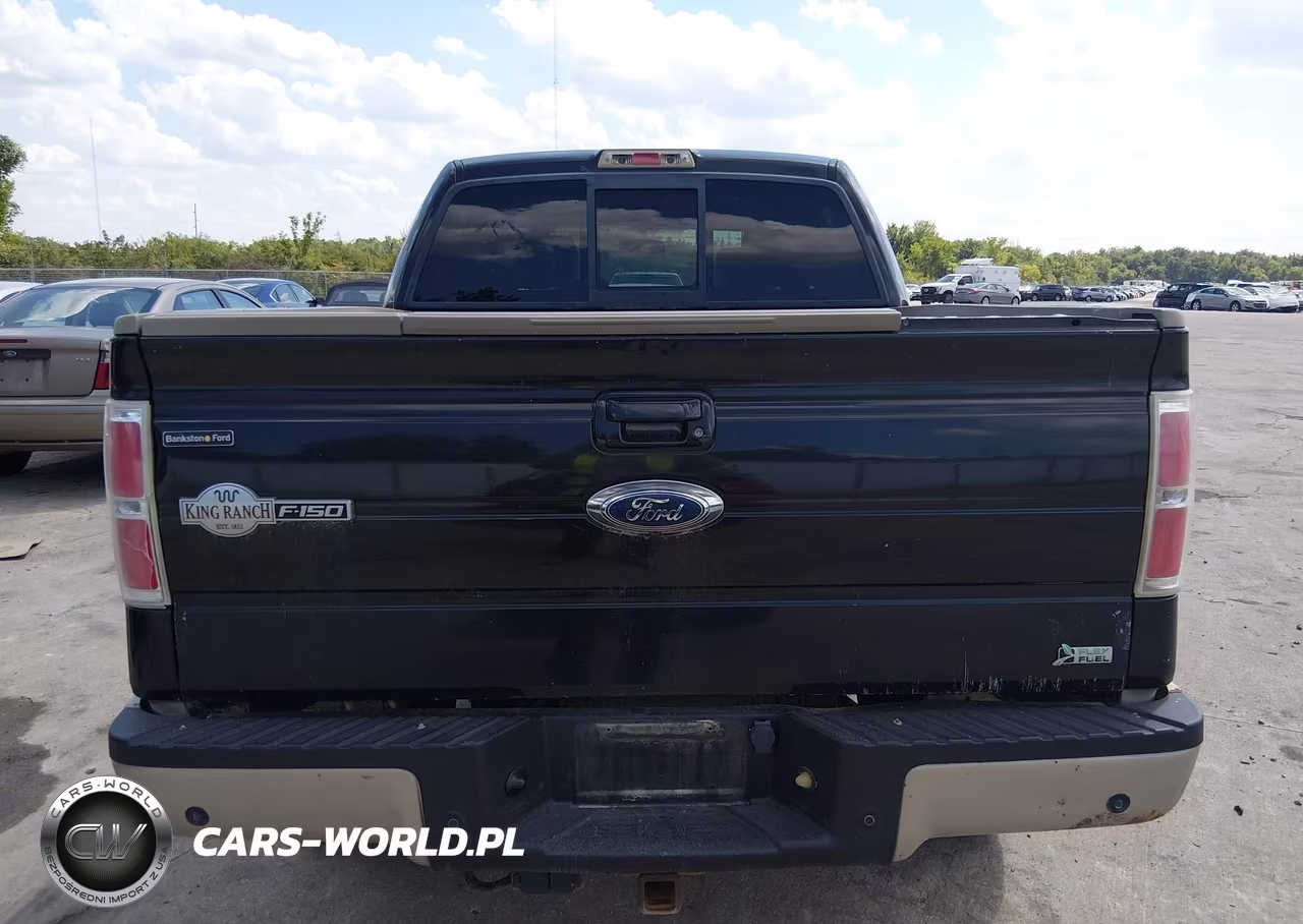 2010 Ford F-150 Fx4-Harley-Davidson-King Ranch-Lariat-Platinum-Xl-Xlt VIN:1FTFW1EVXAKC55537 - 13