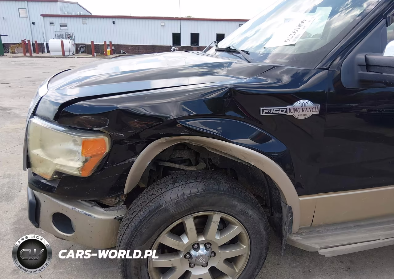 2010 Ford F-150 Fx4-Harley-Davidson-King Ranch-Lariat-Platinum-Xl-Xlt VIN:1FTFW1EVXAKC55537 - 4