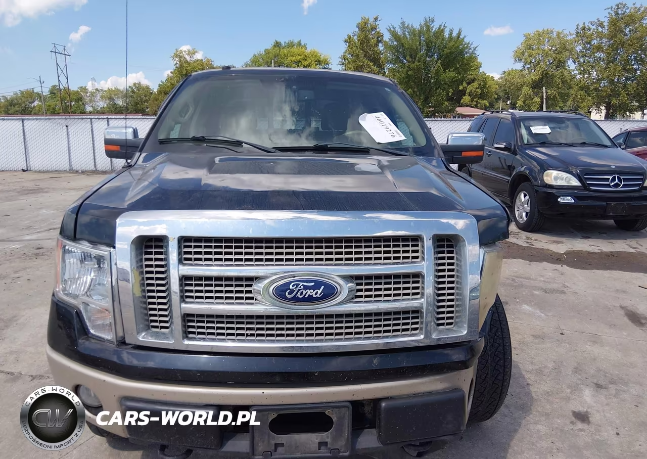 2010 Ford F-150 Fx4-Harley-Davidson-King Ranch-Lariat-Platinum-Xl-Xlt VIN:1FTFW1EVXAKC55537 - 9