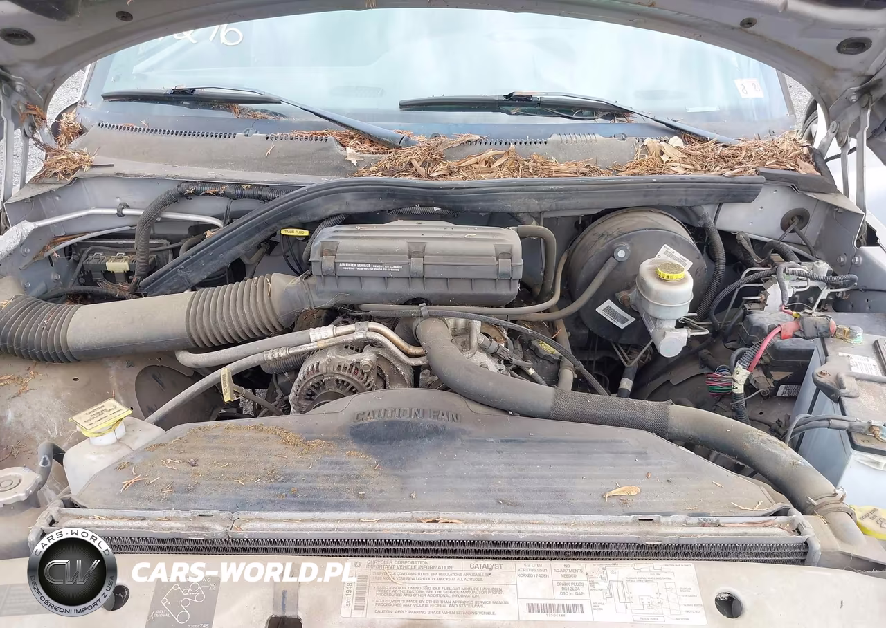 1999 Dodge Ram 1500 St VIN:1B7HC16Y1XS311187 - 10