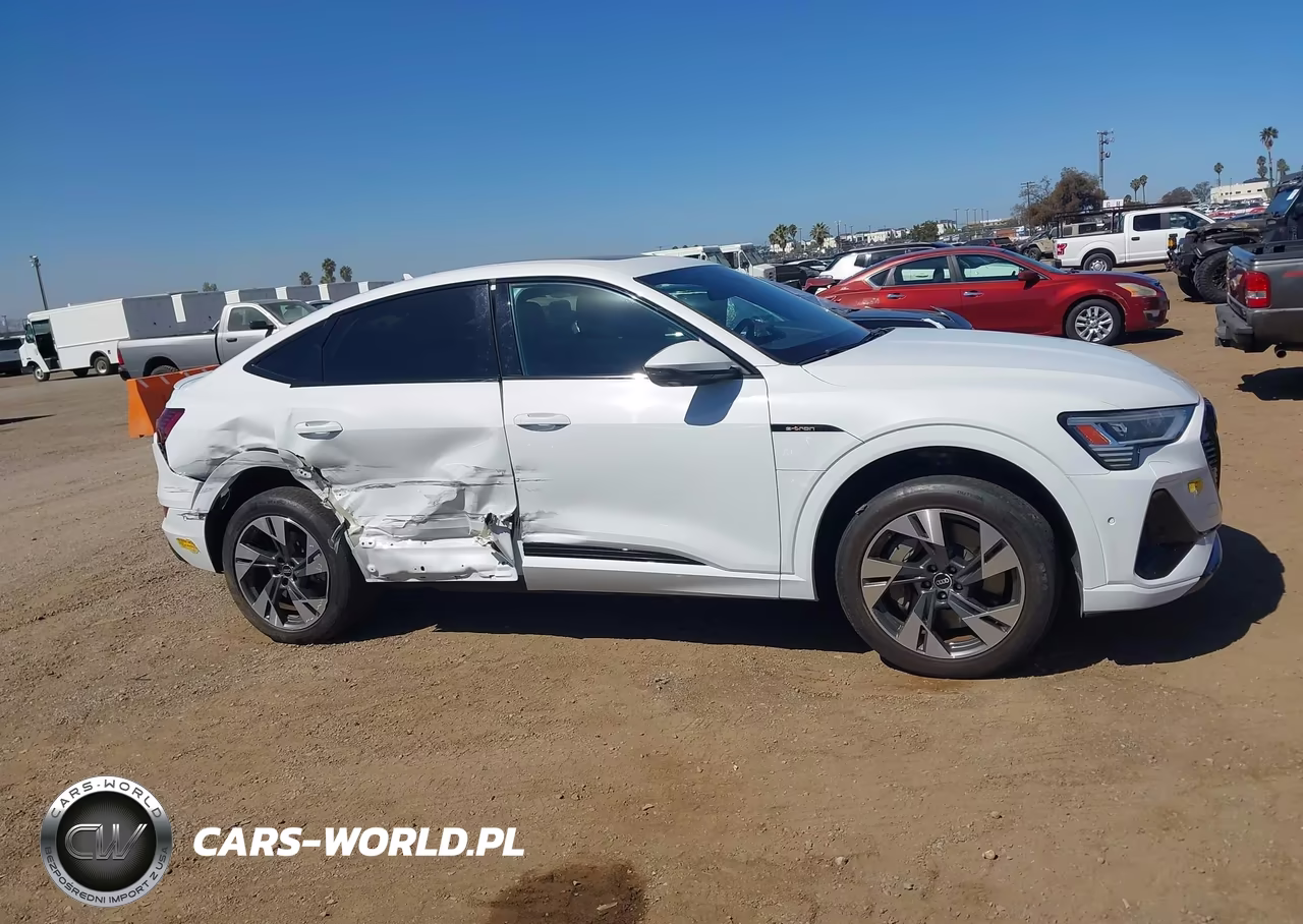 2022 Audi E-Tron Sportback Premium S Line Quattro VIN:WA11AAGE9NB013134 - 13