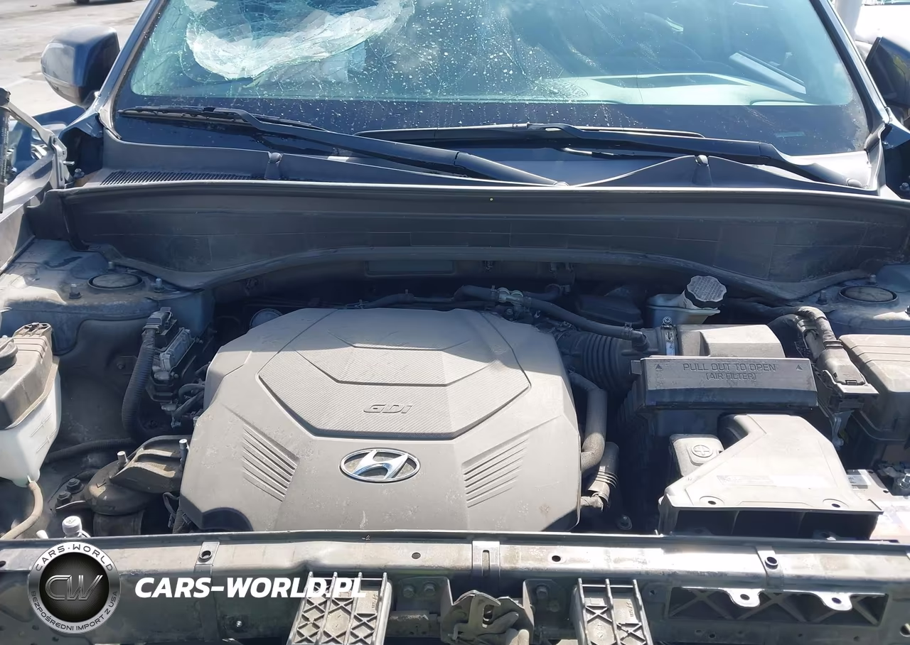 2020 Hyundai Palisade Sel VIN:KM8R34HE1LU047102 - 10