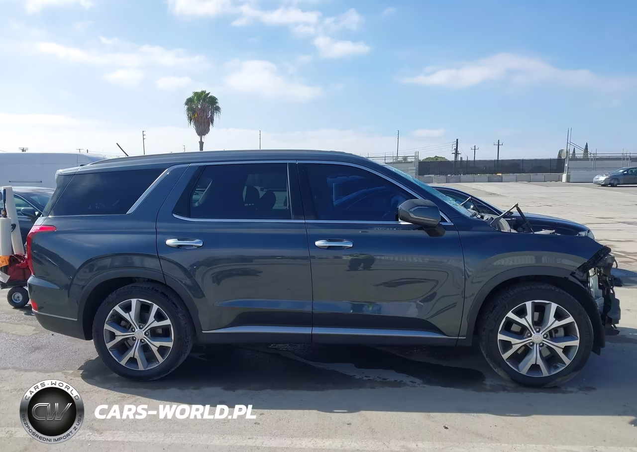 2020 Hyundai Palisade Sel VIN:KM8R34HE1LU047102 - 14