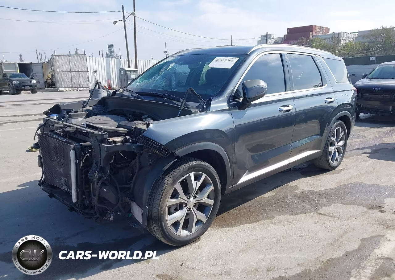 2020 Hyundai Palisade Sel VIN:KM8R34HE1LU047102 - 2