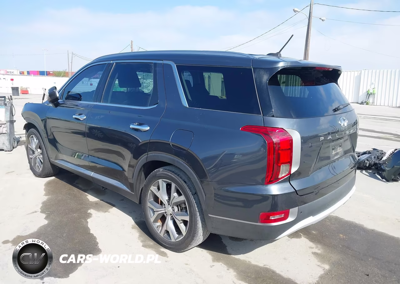 2020 Hyundai Palisade Sel VIN:KM8R34HE1LU047102 - 3