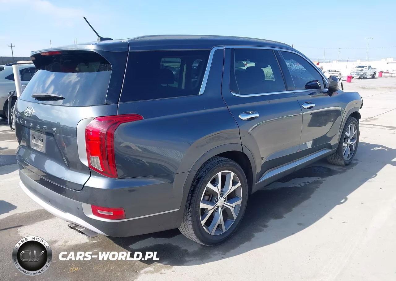 2020 Hyundai Palisade Sel VIN:KM8R34HE1LU047102 - 4