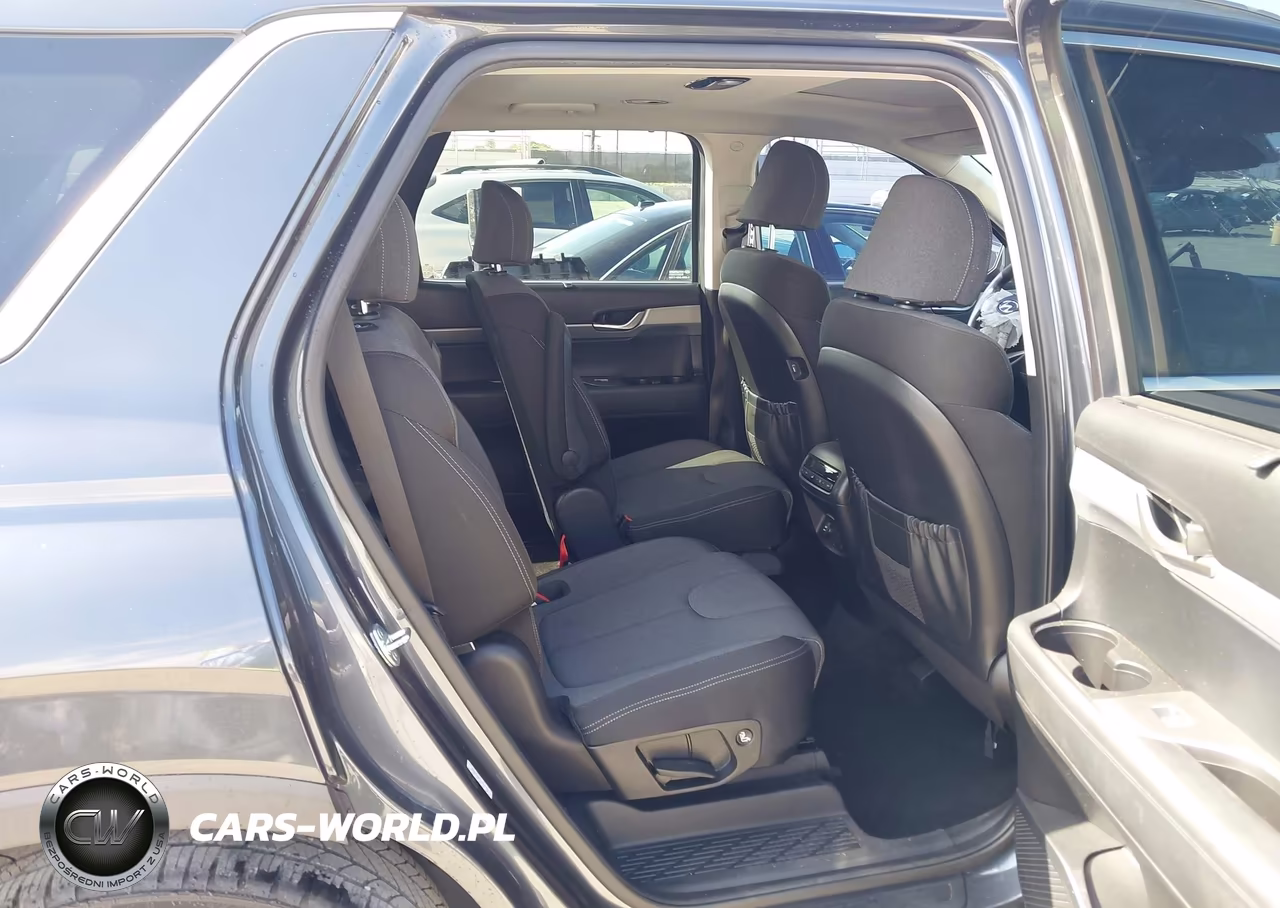2020 Hyundai Palisade Sel VIN:KM8R34HE1LU047102 - 8
