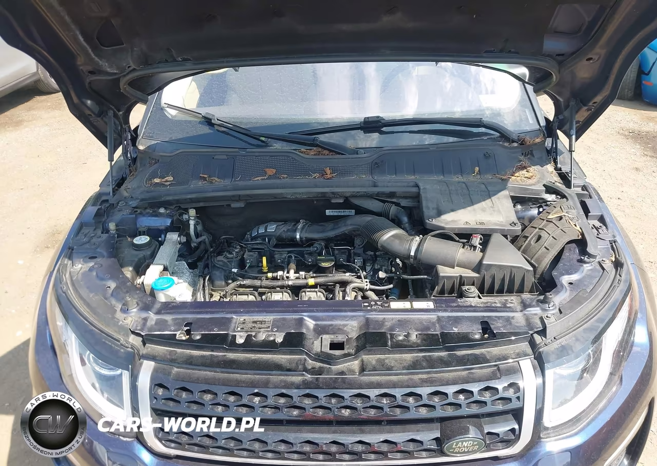 2017 Land Rover Range Rover Evoque Se-Se Premium VIN:SALVP2BG5HH195056 - 10