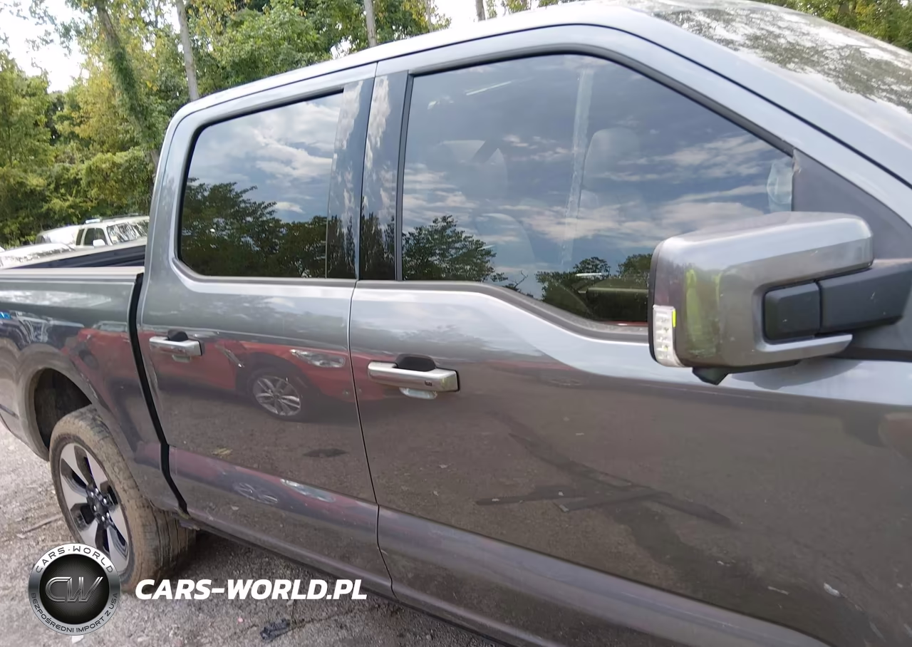 2024 Ford F-150 Lightning Platinum VIN:1FT6W7L79RWG11505 - 13