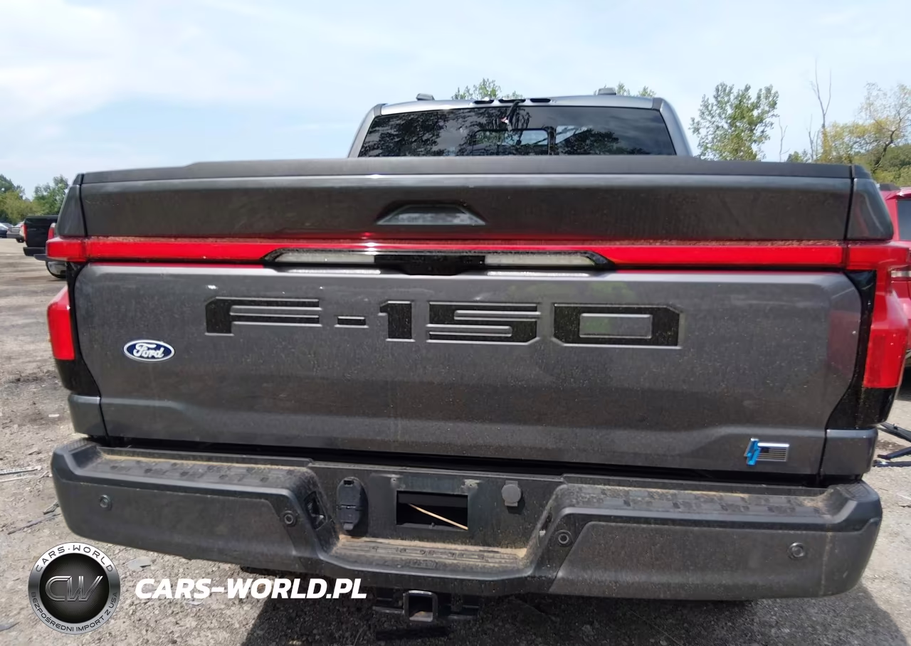 2024 Ford F-150 Lightning Platinum VIN:1FT6W7L79RWG11505 - 16