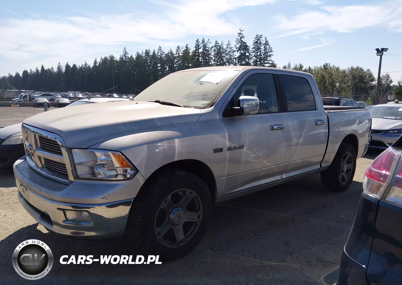 2009 Dodge Ram 1500 Slt-Sport-Trx VIN:1D3HV13T99S711558 - 17