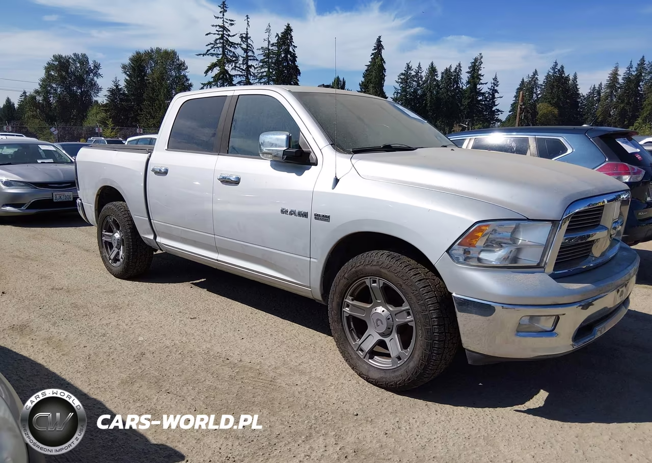 2009 Dodge Ram 1500 Slt-Sport-Trx VIN:1D3HV13T99S711558 - 18