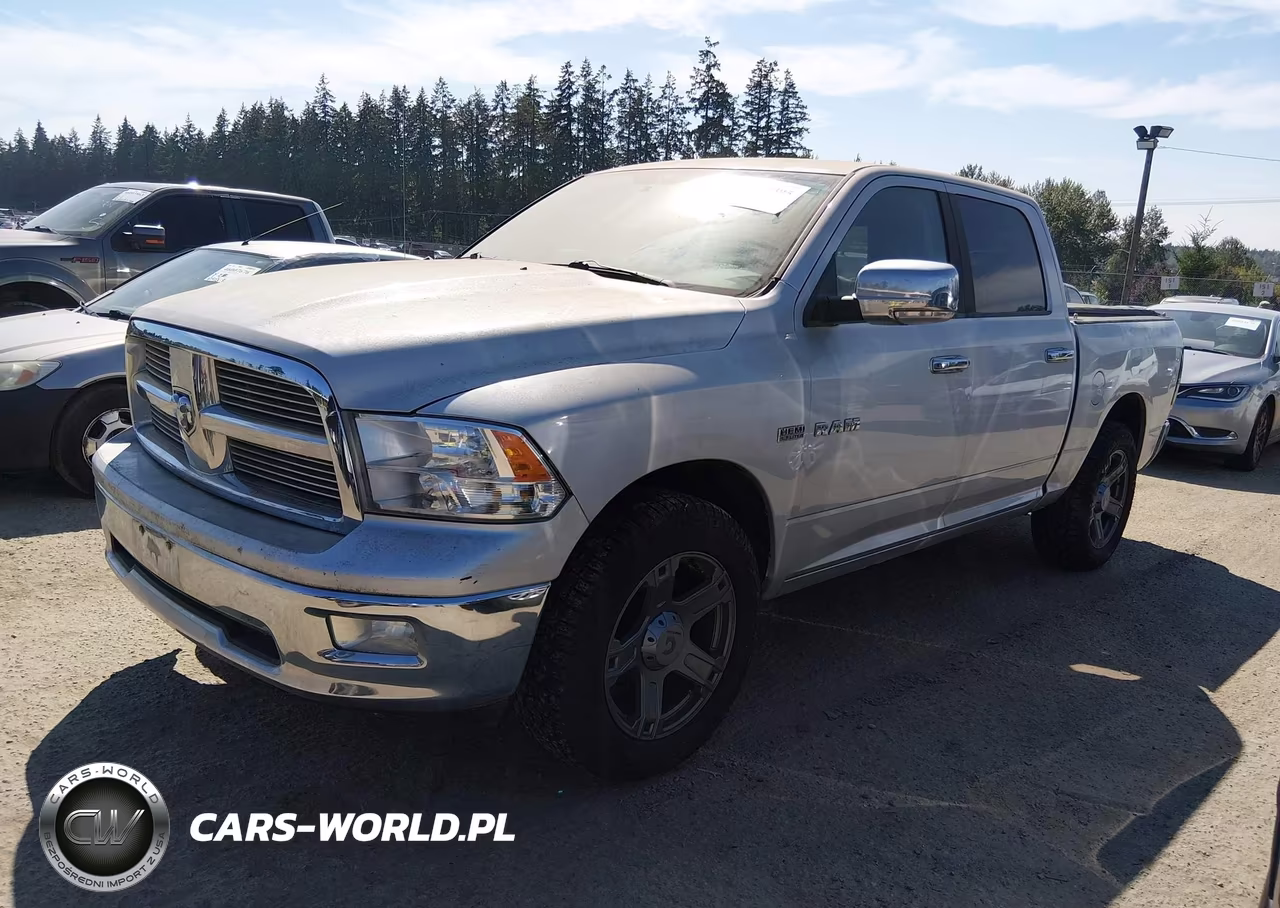 2009 Dodge Ram 1500 Slt-Sport-Trx VIN:1D3HV13T99S711558 - 2