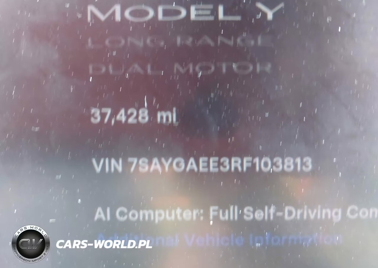 2024 Tesla Model Y Long Range Dual Motor All-Wheel Drive VIN:7SAYGAEE3RF103813 - 14